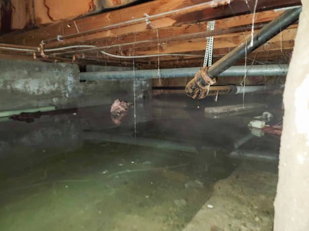 Best Flood restoration services  in Nipomo, CA