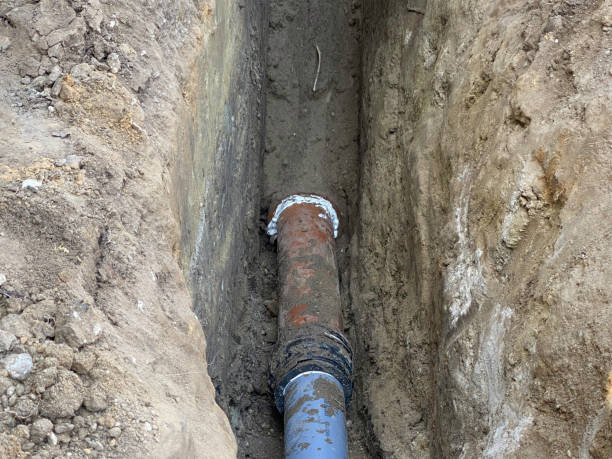 Best Flood restoration services  in Nipomo, CA