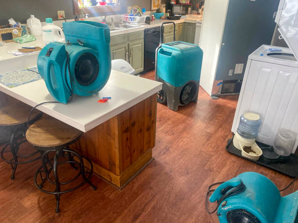 Best Fire Damage Restoration  in Nipomo, CA