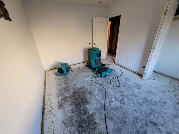 Best Water damage restoration services  in Nipomo, CA