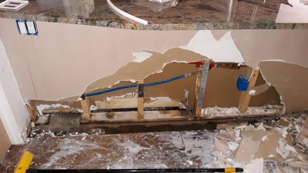 Best Basement water damage restoration  in Nipomo, CA