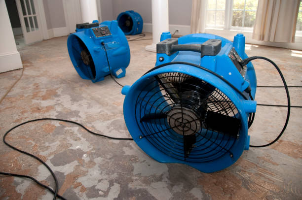 Best Sewage cleanup and water damage restoration  in Nipomo, CA