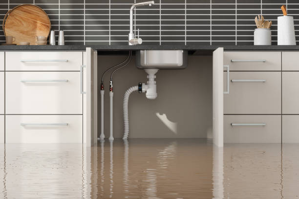 Best Mold removal after water damage  in Nipomo, CA