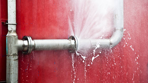 Best Carpet water damage restoration  in Nipomo, CA