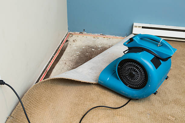 Best Local water damage restoration  in Nipomo, CA
